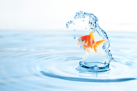 Beautiful bright goldfish jumping out of water on white backgroundの写真素材