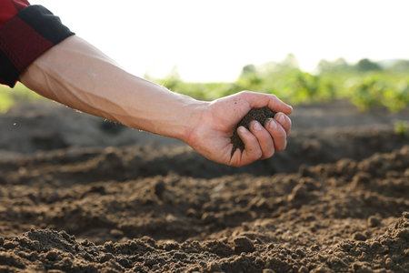 Man holding pile of soil in field, closeupの写真素材