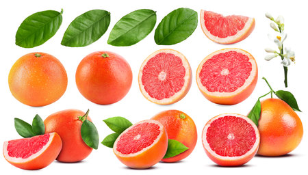 Fresh grapefruits and green leaves on white background, collageの写真素材