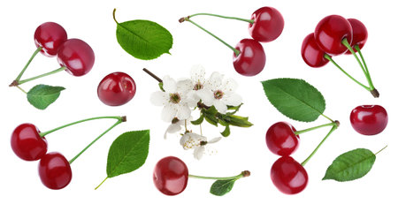 Ripe red cherries, blossoms and green leaves on white background, collage