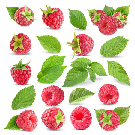 Fresh raspberries and green leaves on white background, collageの写真素材