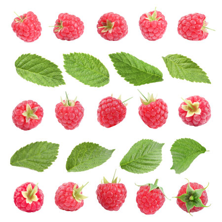 Fresh raspberries and green leaves on white background, collageの写真素材