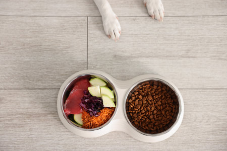 Dog and bowls with fresh natural products and dry pet food on floor, top viewの写真素材