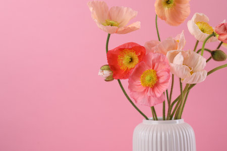 Beautiful poppy flowers in vase on pink background, closeup. Space for textの写真素材