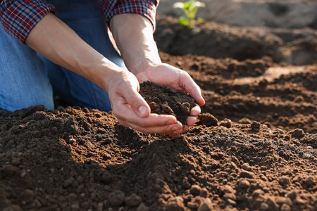 Man holding pile of soil in field, closeupの写真素材