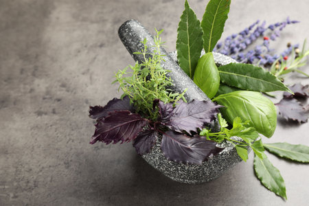 Mortar with pestle, different aromatic herbs and spices on gray table, closeup. Space for text