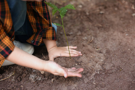 Little boy planting tree into soil outdoors, closeup. Space for textの写真素材