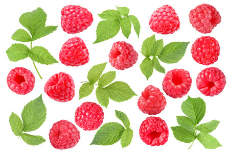 Fresh raspberries and green leaves on white background, collage