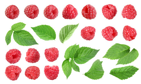 Fresh raspberries and green leaves on white background, collage