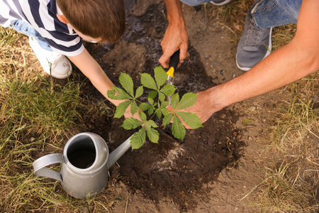 Father and his son planting tree into soil outdoors, closeupのeditorial素材