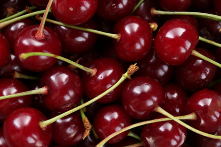 Many fresh ripe cherries as background, closeup