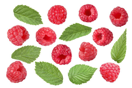 Fresh raspberries and green leaves on white background, collage