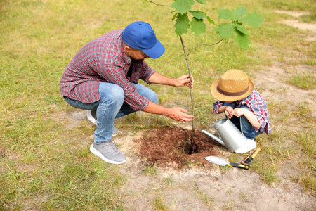Father and his son planting tree into soil outdoorsの写真素材