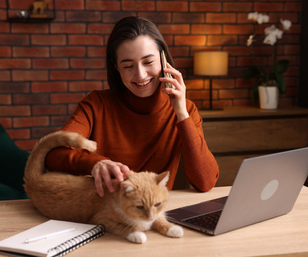 Smiling woman talking by smartphone and stroking cat at desk in home officeの写真素材