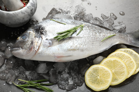 Fresh raw dorado fish, ice, lemon slices and rosemary on gray table, closeup. Organic seafood