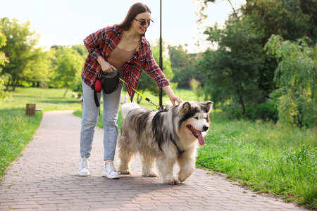Happy woman walking with her cute Alaskan malamute dog in parkの写真素材