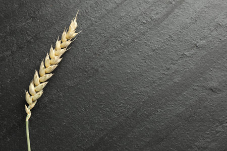 Wheat spike on black table, top view. Space for text