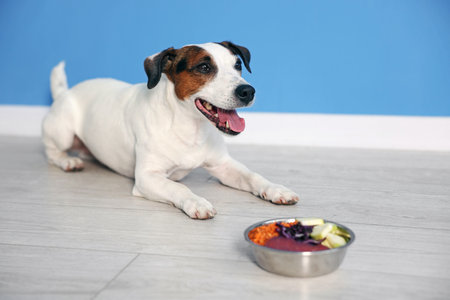 Cute dog and bowl with fresh natural products on floor near blue wall at home, selective focus. Pet food