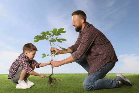 Father and his son planting tree into ground outdoorsの写真素材