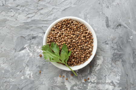 Coriander seeds and fresh cilantro sprig in bowl on gray textured table, top view
