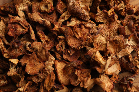 Many dried chanterelle mushrooms as background, closeup