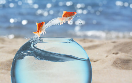 Goldfish jumping out of glass fish bowl into sea at beachの写真素材