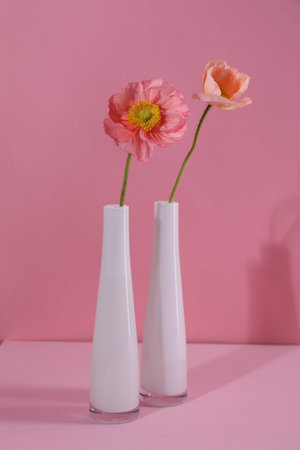 Beautiful poppy flowers in vases on pink background, closeupの写真素材