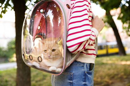 Woman with her cute cat in backpack carrier at park, closeupの写真素材