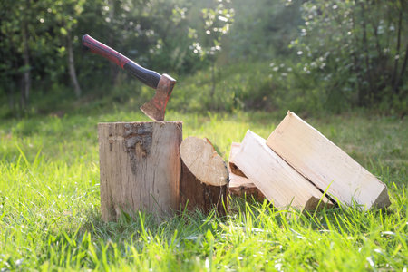 Metal ax, chopped firewood and wooden log on green grass outdoors