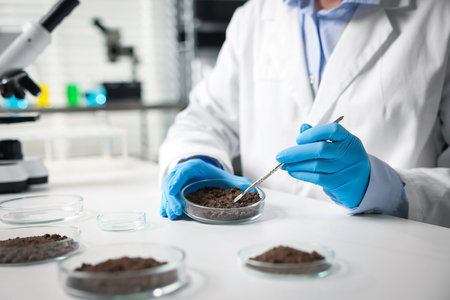 Scientist taking soil sample for research at white table in laboratory, closeupの写真素材