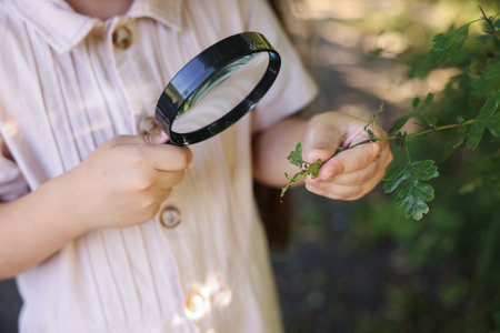 Little girl looking at branch with green leaves through magnifying glass in nature, closeupの写真素材
