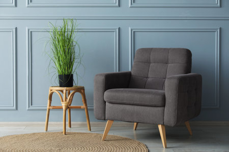 Comfortable armchair and houseplant near light blue wall indoorsの写真素材