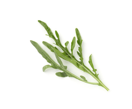 Fresh ripe green arugula leaves isolated on white, top viewの写真素材