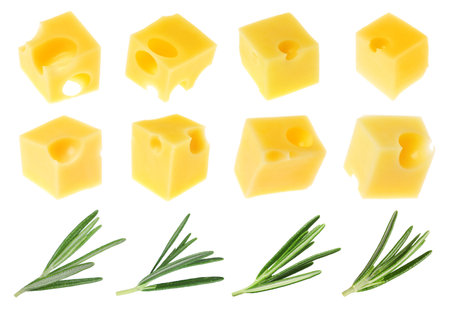 Cheese cubes and fresh rosemary isolated on white, setの写真素材