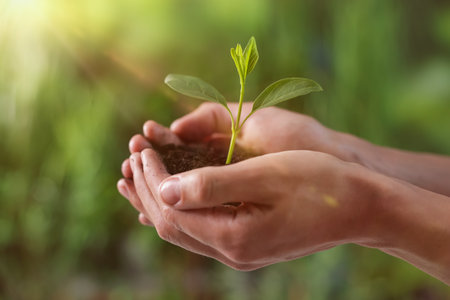 Man holding soil with young seedling outdoors, closeup. Planting treeの写真素材