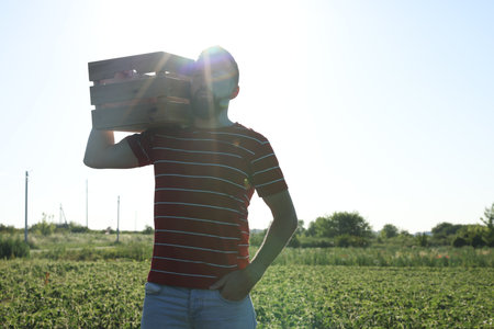 Farmer with wooden crate in field of unripe soy outdoors, space for textの写真素材