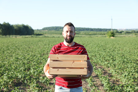 Farmer with wooden crate in field of unripe soy outdoorsの写真素材
