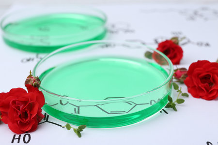 Petri dishes of samples, herbs and red roses on paper with chemical formulas, closeup