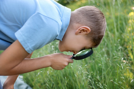 Cute little boy looking at plants through magnifying glass in natureの写真素材