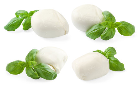 Mozzarella and basil isolated on white, set. Italian cheeseの写真素材