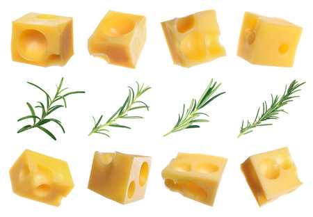 Cheese cubes and fresh rosemary isolated on white, setの写真素材