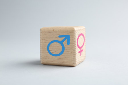 Sex education. Wooden cube with female and male gender symbols on gray backgroundの写真素材