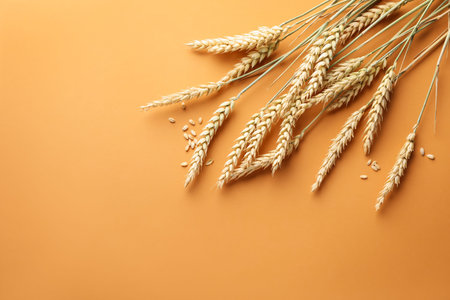 Many wheat spikes and seeds on golden background, flat lay. Space for text