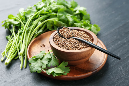 Coriander seeds in bowl, spoon and fresh cilantro leaves on dark textured table, closeupの写真素材
