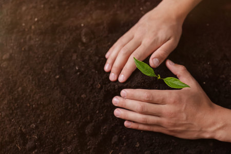 Man planting young tree in soil, top view. Space for textの写真素材