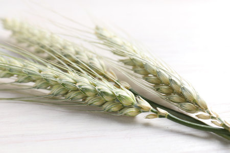 Green wheat spikes on light wooden table, closeupの写真素材