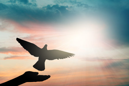 Dove flying from woman's hands against sky with sun