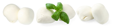 Mozzarella and basil isolated on white, set. Italian cheeseの写真素材