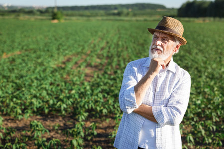Senior farmer in field of unripe soy outdoors, space for text
