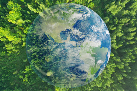 Environment concept. Globe and forest, double exposure